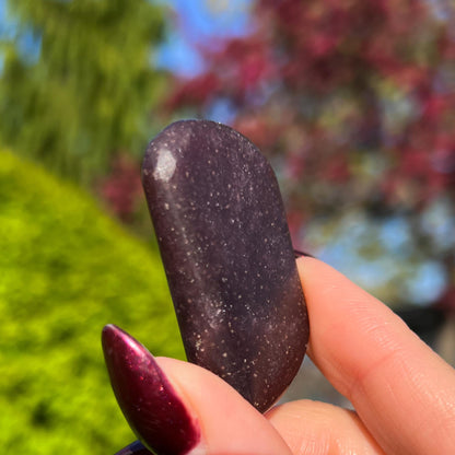 Midnight Euphoralite Palm Stone