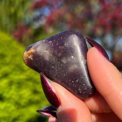 Midnight Euphoralite Palm Stone