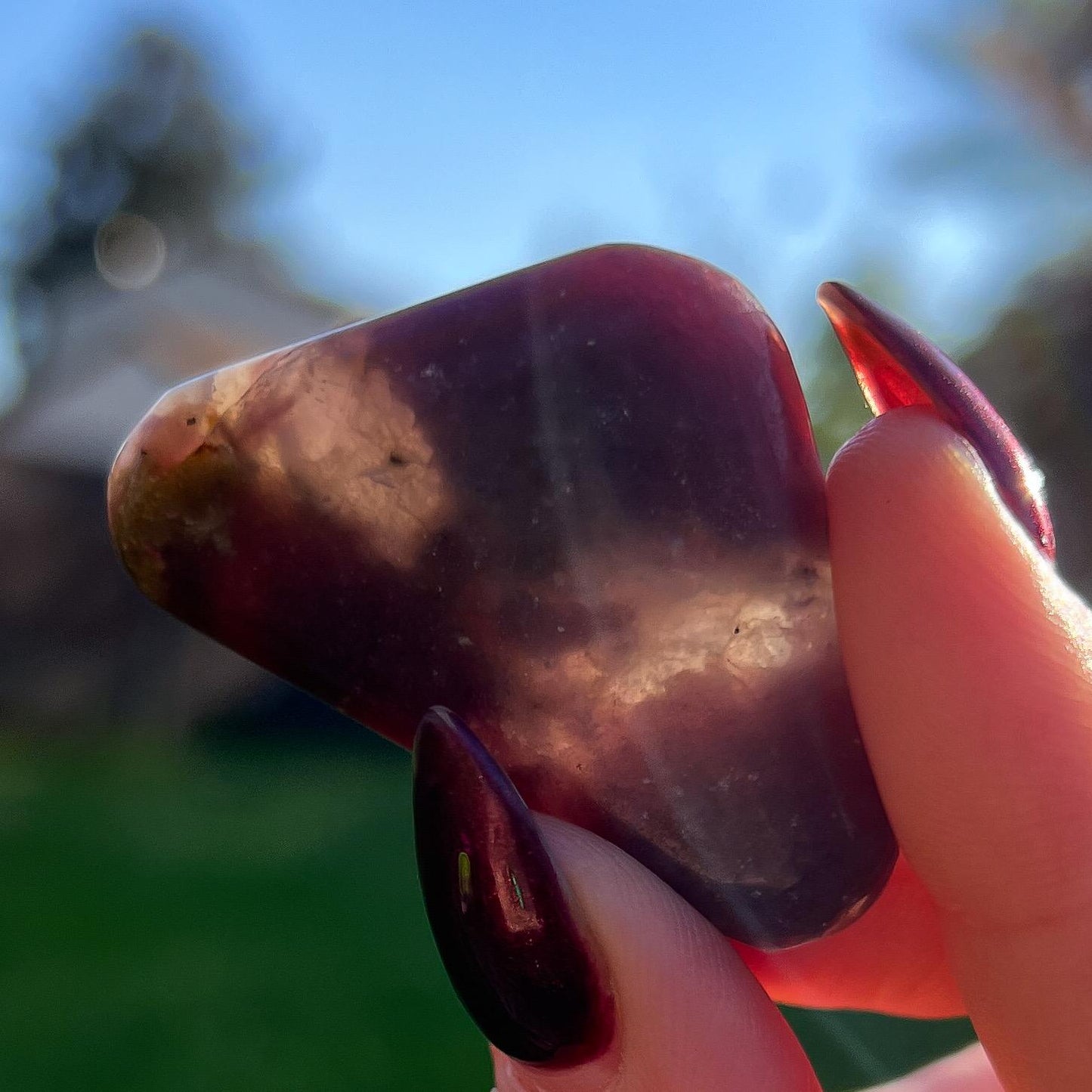 Midnight Euphoralite Palm Stone