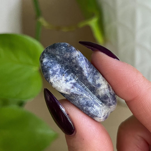 Enchanted Euphoralite Alien