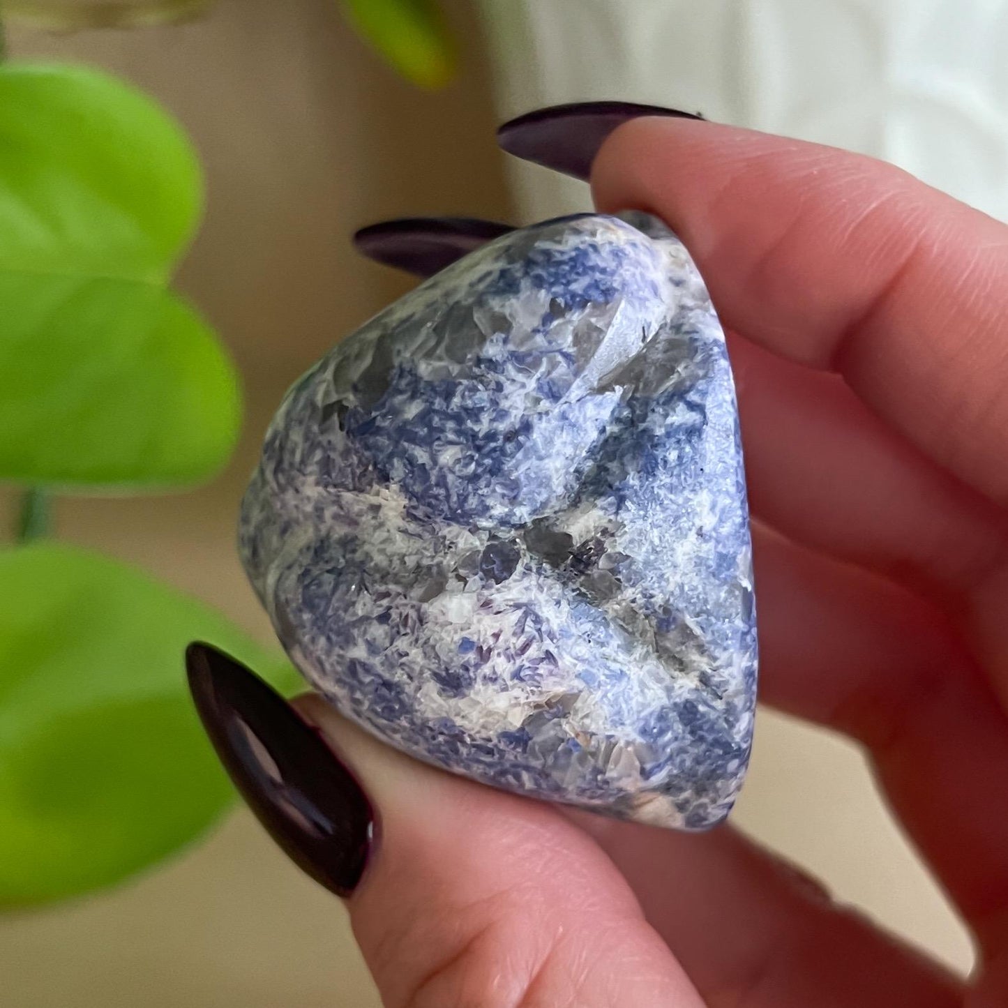 Enchanted Euphoralite Alien