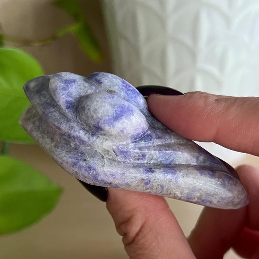 Bliss Euphoralite Alien