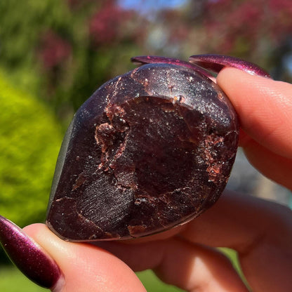 Dragon Skin Star Garnet Euphoralite Alien