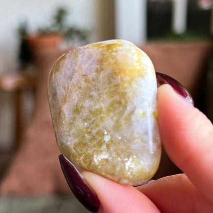 Rare Golden Euphoralite Palm Stone