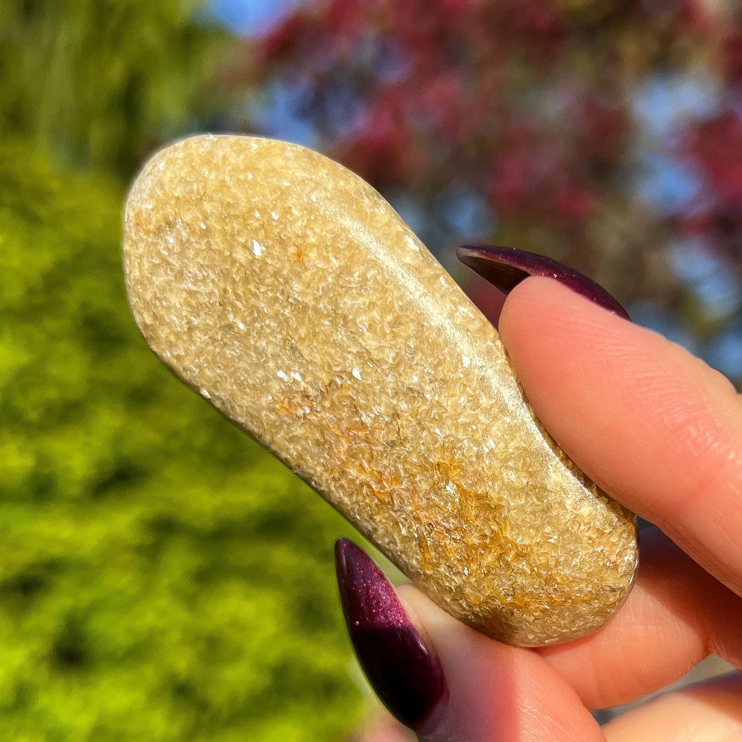 Rare Gaia Euphoralite Palm Stone