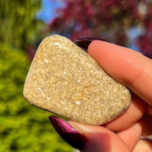 Rare Gaia Euphoralite Palm Stone