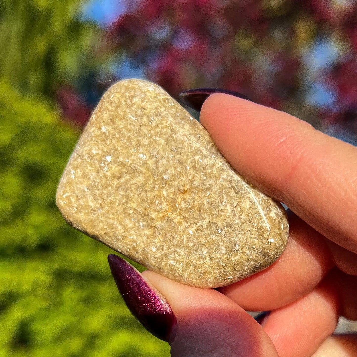 Rare Gaia Euphoralite Palm Stone
