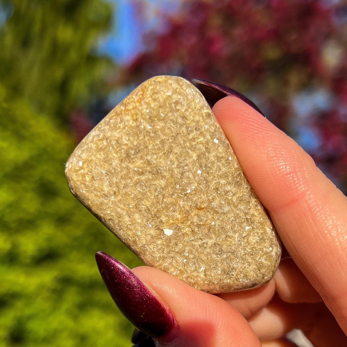 Rare Gaia Euphoralite Palm Stone