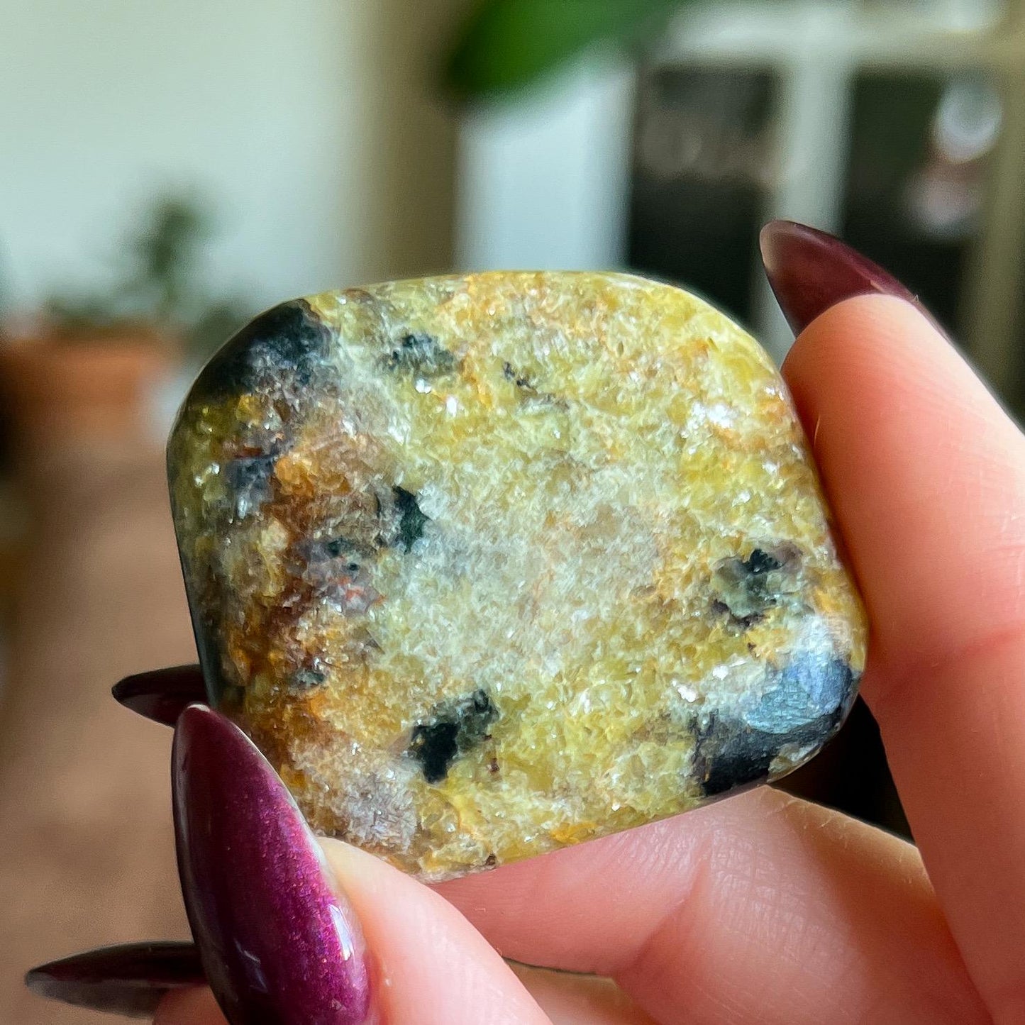 Pangea Euphoralite Palm Stone