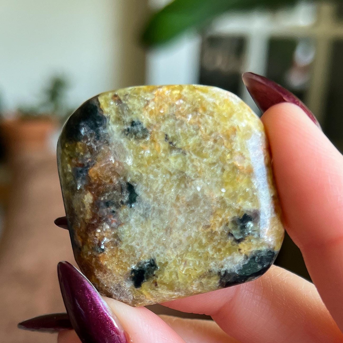 Pangea Euphoralite Palm Stone