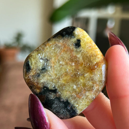 Pangea Euphoralite Palm Stone