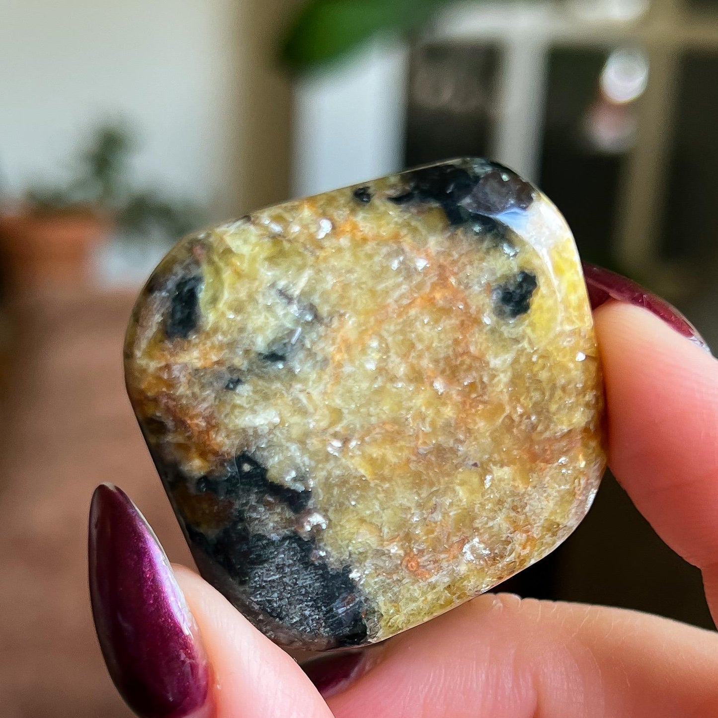 Pangea Euphoralite Palm Stone