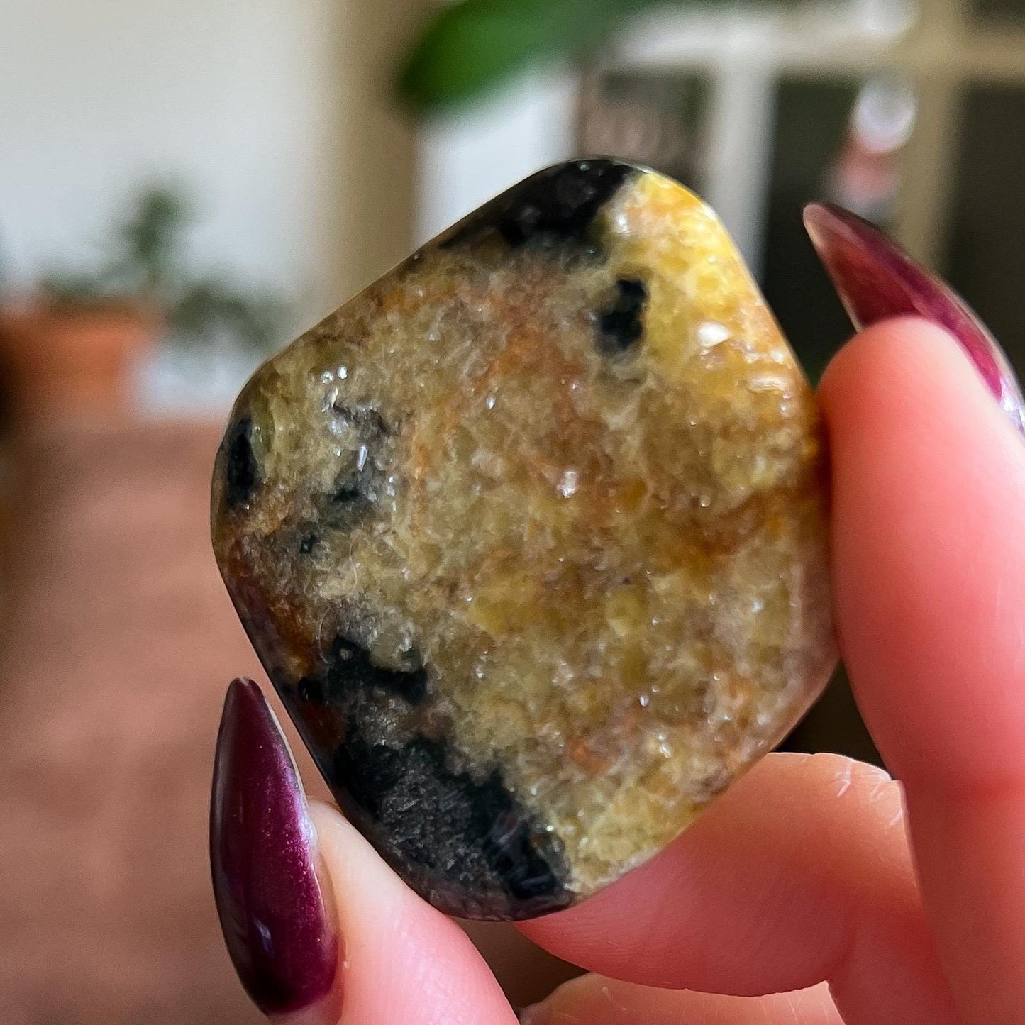 Pangea Euphoralite Palm Stone
