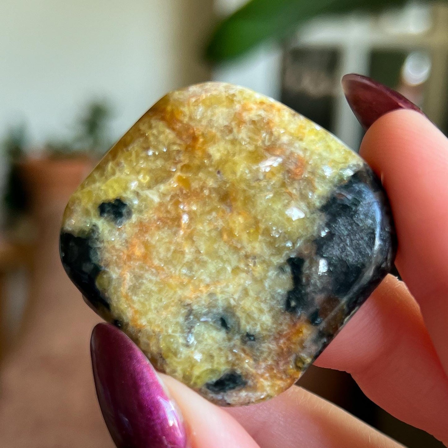 Pangea Euphoralite Palm Stone