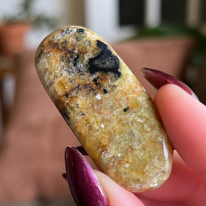 Pangea Euphoralite Palm Stone