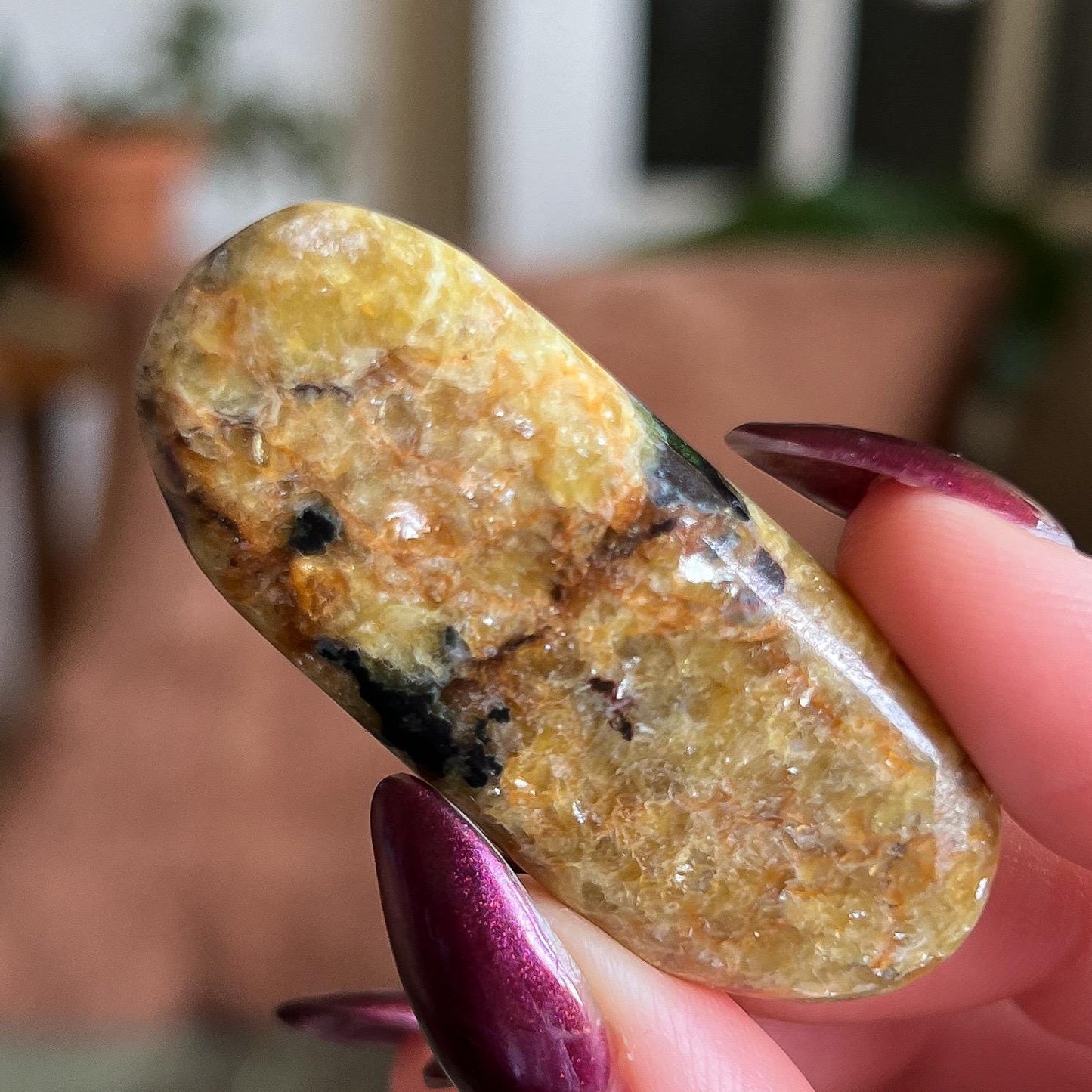 Pangea Euphoralite Palm Stone