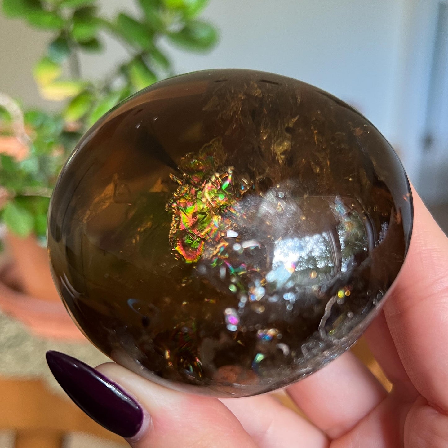 Rainbow Citrine Palm Stone XL