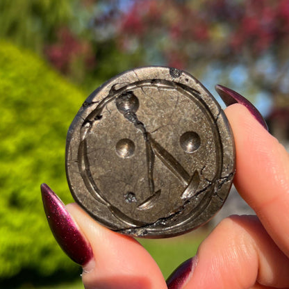 Alienite Euphoralite Coin from South Dakota
