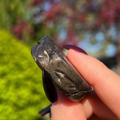 Alienite Euphoralite Coin from South Dakota