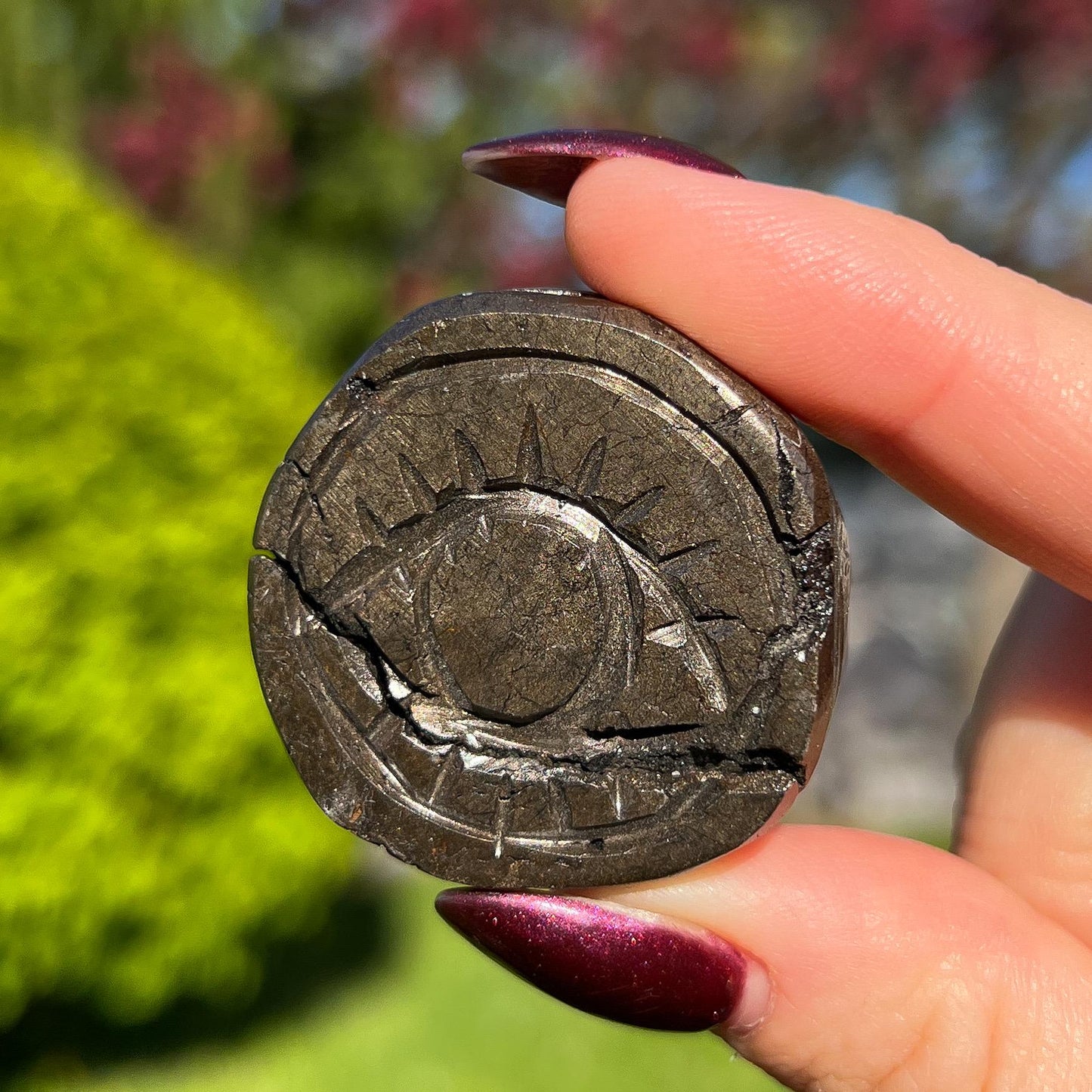 Alienite Euphoralite Coin from South Dakota