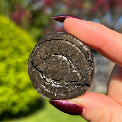 Alienite Euphoralite Coin from South Dakota