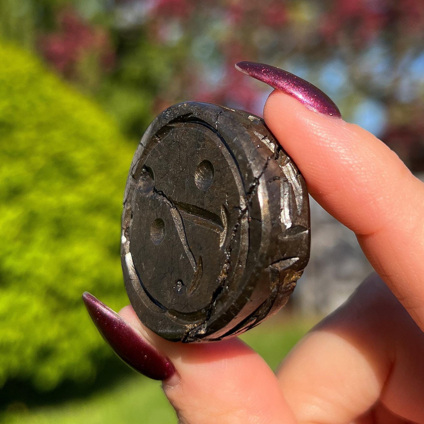 Alienite Euphoralite Coin from South Dakota