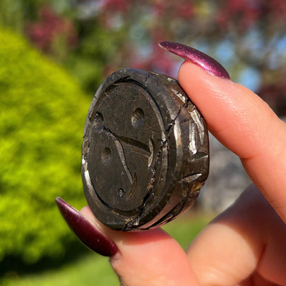 Alienite Euphoralite Coin from South Dakota