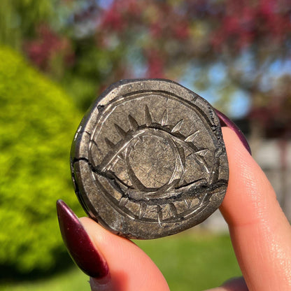 Alienite Euphoralite Coin from South Dakota