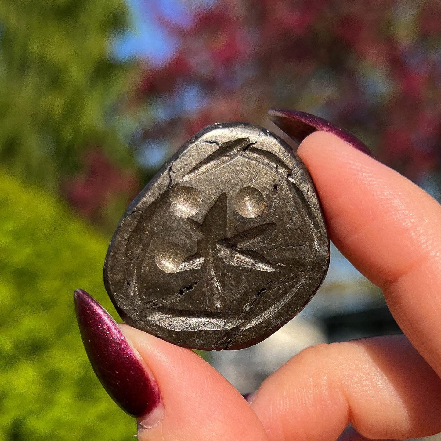 Alienite Euphoralite Coin from South Dakota