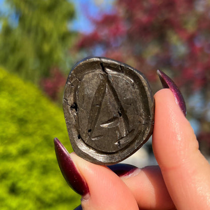 Alienite Euphoralite Coin from South Dakota