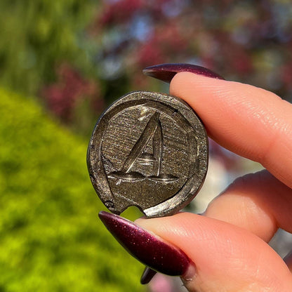 Alienite Euphoralite Coin from South Dakota