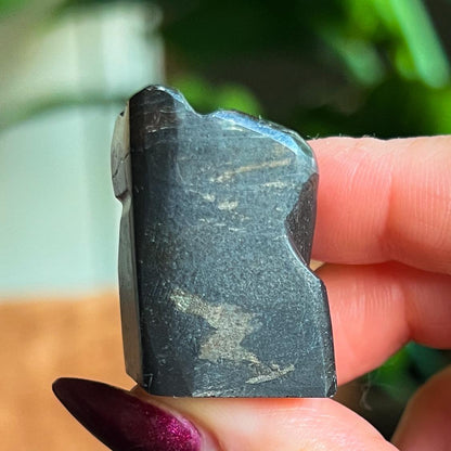 Alienite Euphoralite Alien from South Dakota