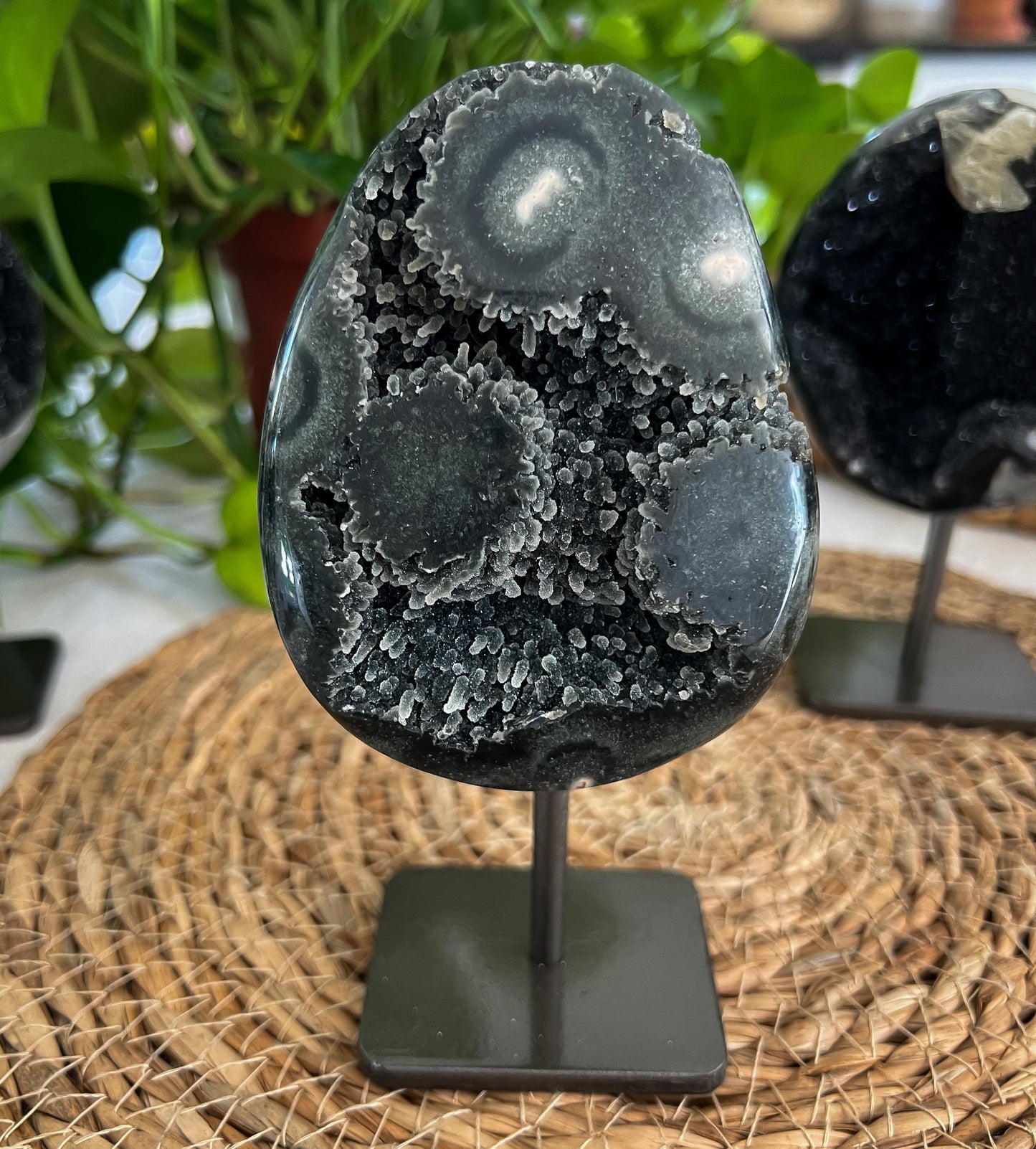 Black Galaxy Amethyst Cathedral