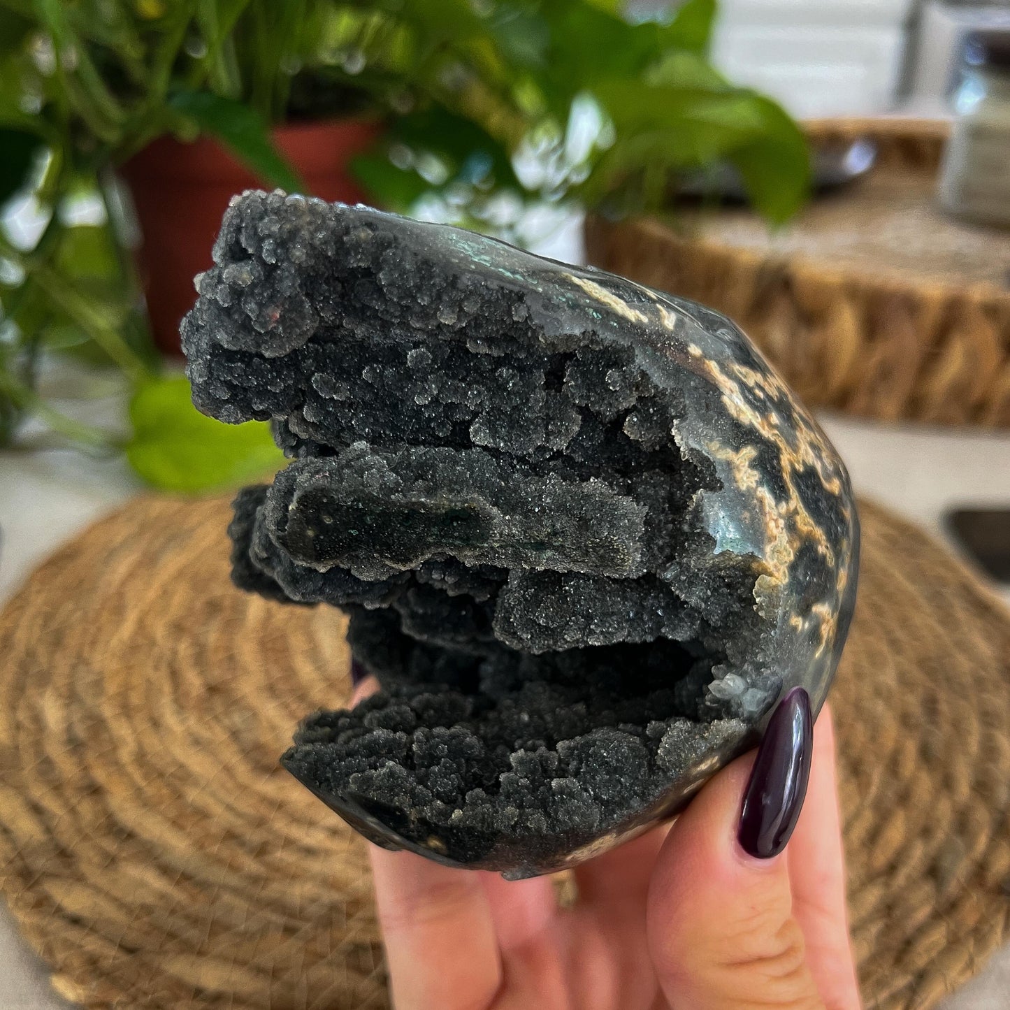 Black Galaxy Amethyst Geode