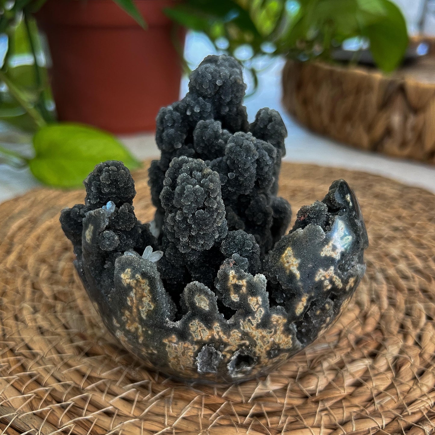 Black Galaxy Amethyst Geode