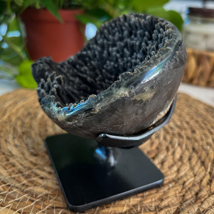 Black Galaxy Amethyst Geode