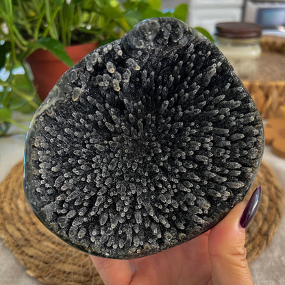 Black Galaxy Amethyst Geode