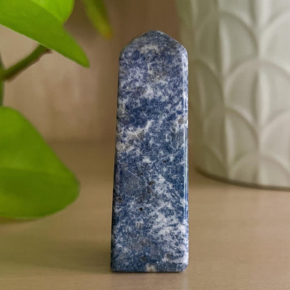 Enchanted Euphoralite Tower
