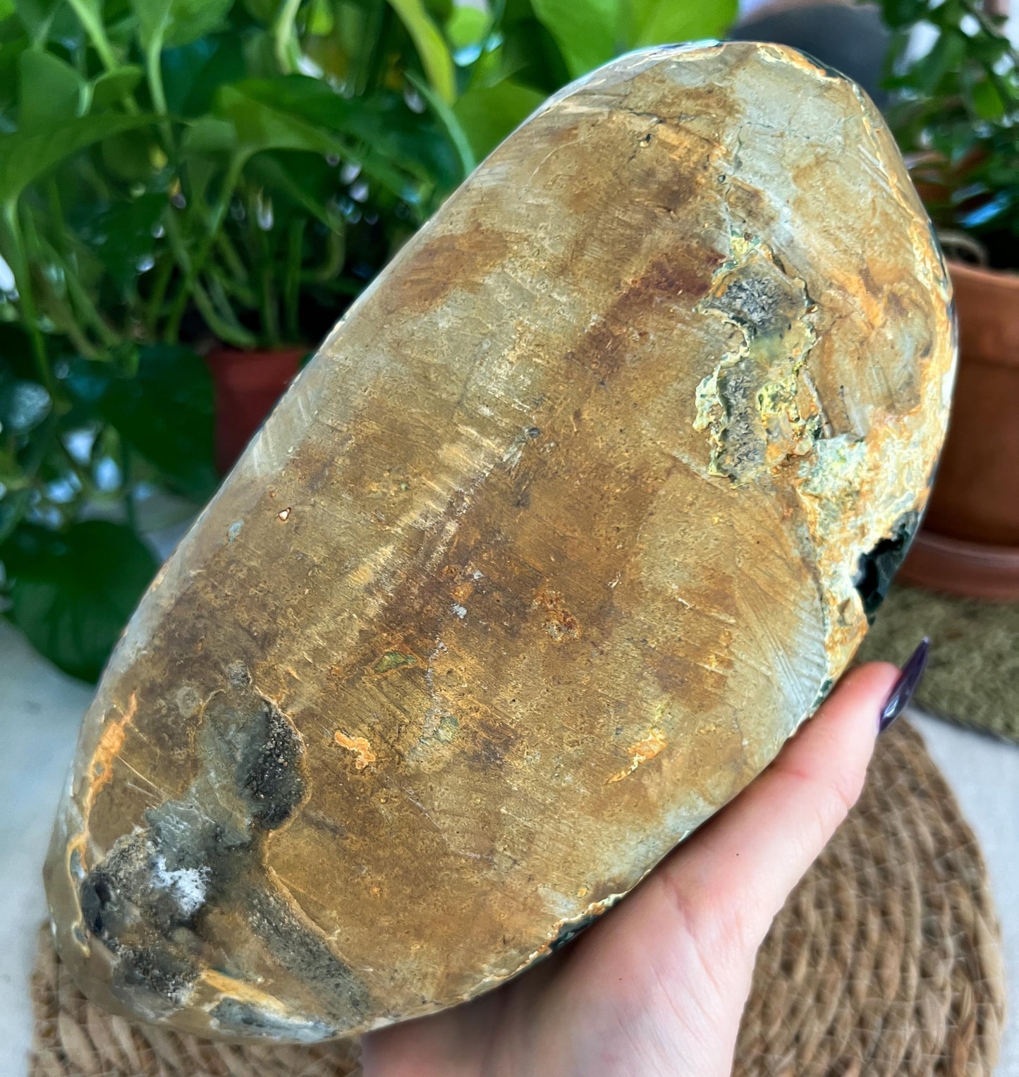 Black Amethyst Geode