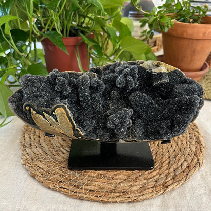 Black Amethyst Geode