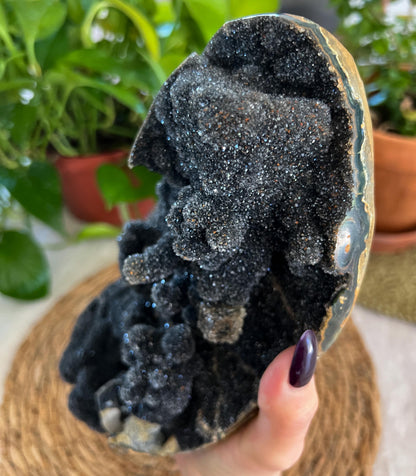 Black Amethyst Geode