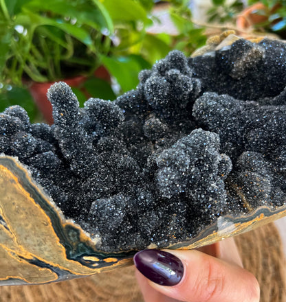 Black Amethyst Geode