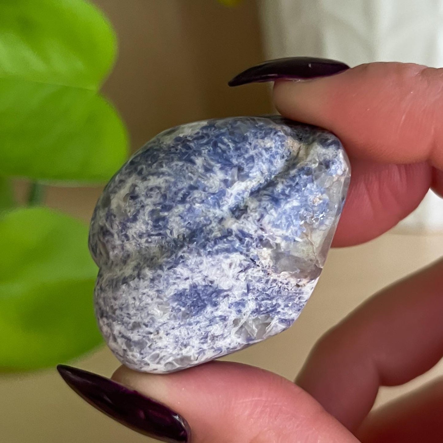 Enchanted Euphoralite Alien