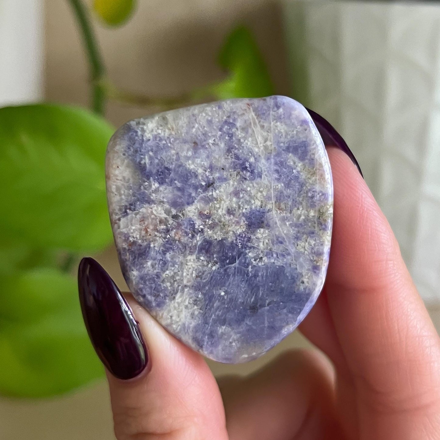 Bliss Euphoralite Alien