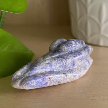 Bliss Euphoralite Alien