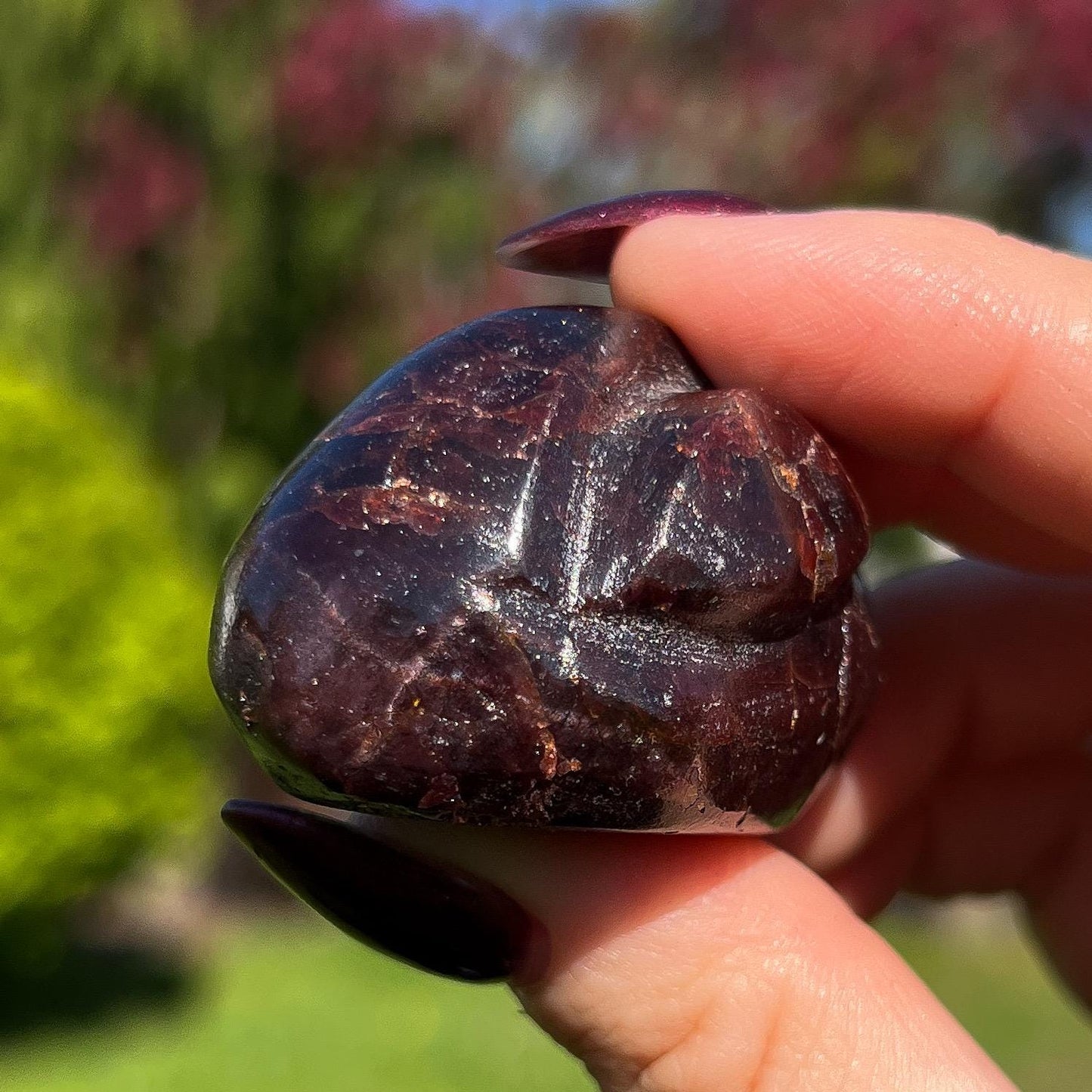 Dragon Skin Star Garnet Euphoralite Alien