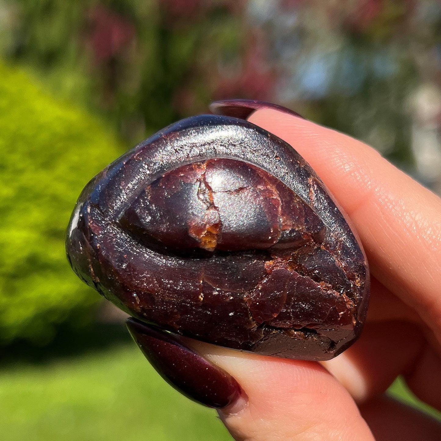 Dragon Skin Star Garnet Euphoralite Alien