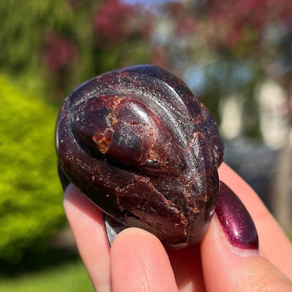 Dragon Skin Star Garnet Euphoralite Alien
