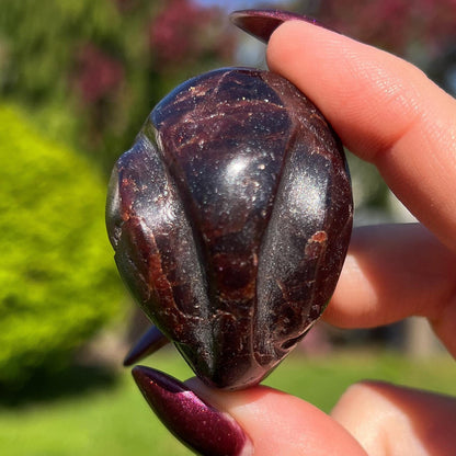 Dragon Skin Star Garnet Euphoralite Alien