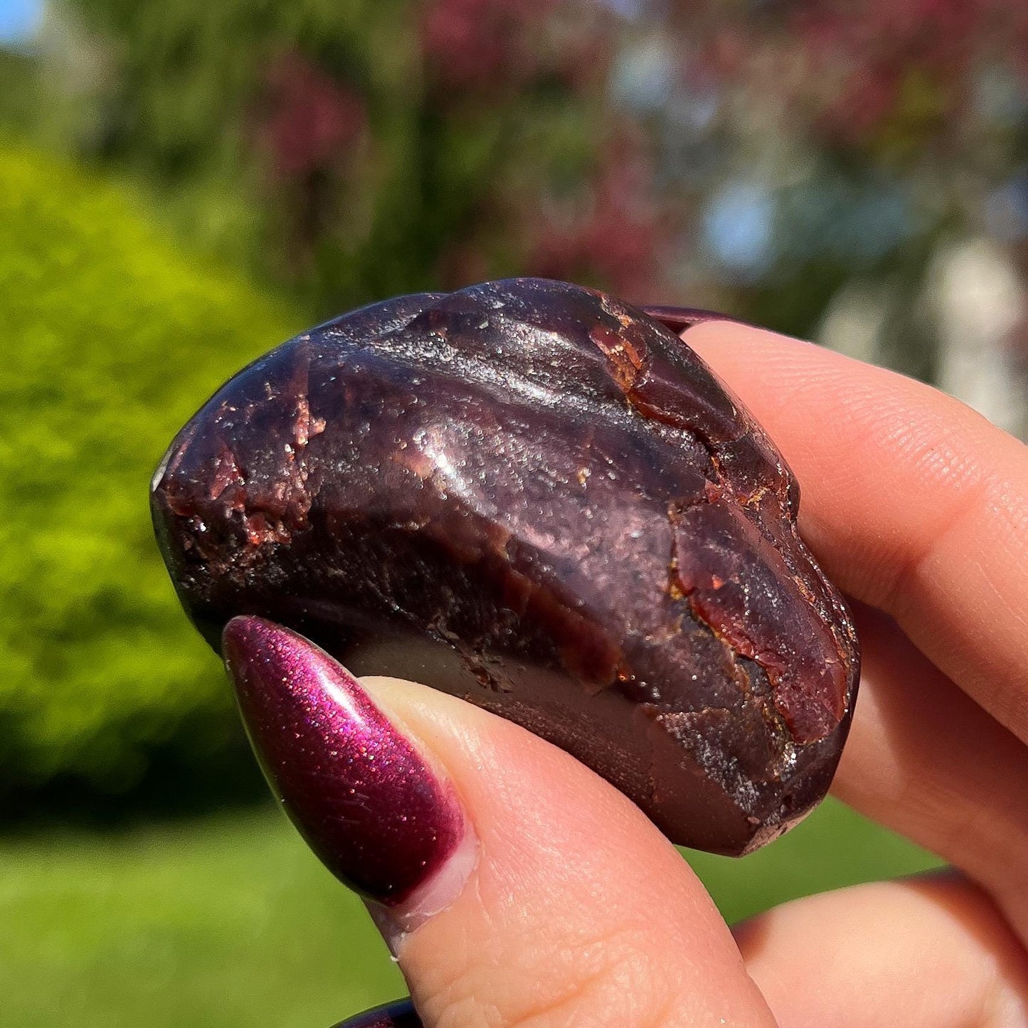Dragon Skin Star Garnet Euphoralite Alien